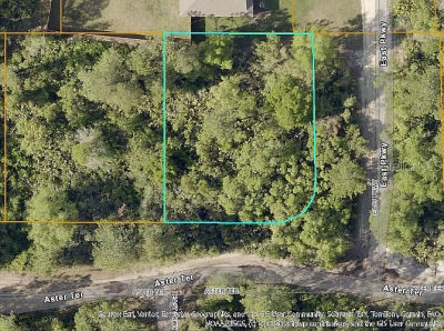 Aster Ter LOT 260 Deland, FL 32724