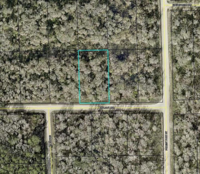 4030 Walnut Ave LOT 19 Bunnell, FL 32110