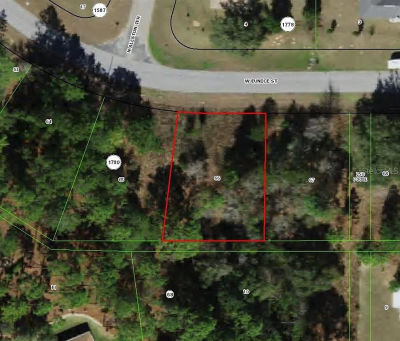 2924 W Eunice Dr LOT 66 Dunnellon, FL 34433