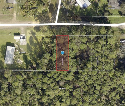 Deer Crossing Rd Lot 7 Altoona, FL 32702