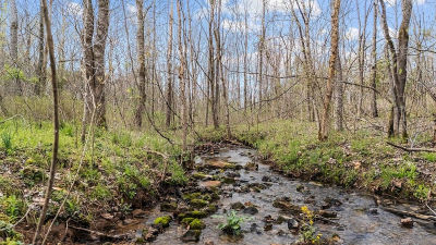 6455 Highway 48 N Cmbrlnd Frnce, TN 37051