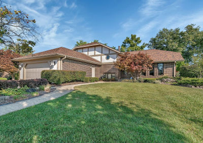 8134 Uxbridge Dr Orland Park, IL 60462