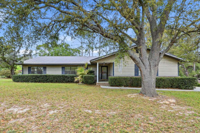 295 SW Blueberry Pl Lake City, FL 32024