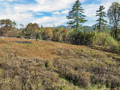 44 Williams Hill Rd Grafton, NH 03240