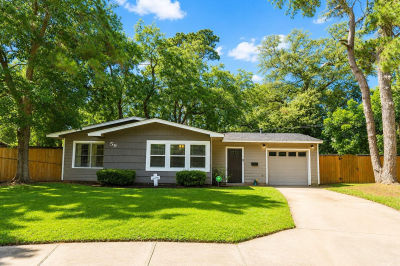 59 Caladium Ct Lake Jackson, TX 77566