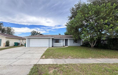 2715 N Dellwood Dr Eustis, FL 32726