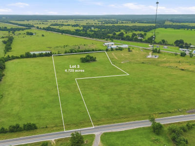 LOT 3 Fm 1146 Lot 3 Marquez, TX 77865