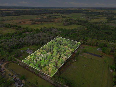 Sugarbush Ln Lot 3 Polk City, FL 33868