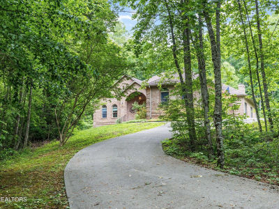 111 Stone Ridge Dr Andersonville, TN 37705