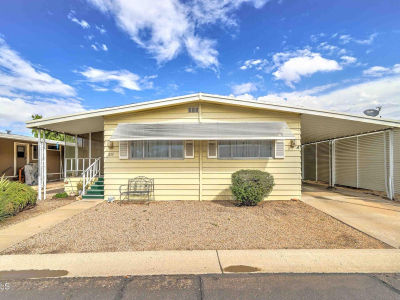 10960 N 67th Ave #235 Glendale, AZ 85304