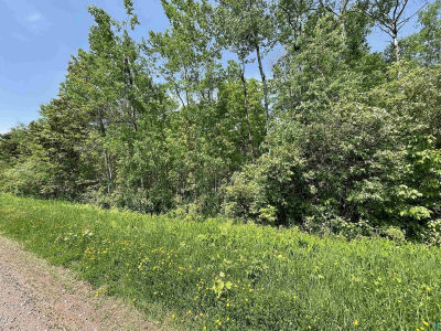 E Orienta Falls Rd Pt Wing, WI 54865