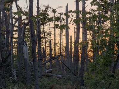 Peterson Hill Rd Bayfield, WI 54814