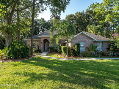 701 Violet Pl Saint Johns, FL 32259