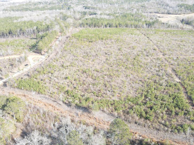 LOT 5 Springhill Rd Millport, AL 35576