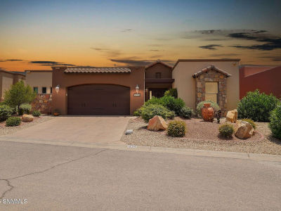1294 Morisat Pl Las Cruces, NM 88007
