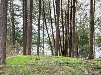 18243 Suncrest Ct SE Yelm, WA 98597