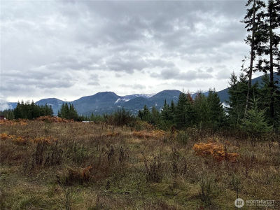 2 Xx Forest Rd #52 Packwood, WA 98361