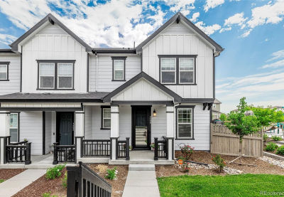 3198 Ireland Moss St Castle Rock, CO 80109