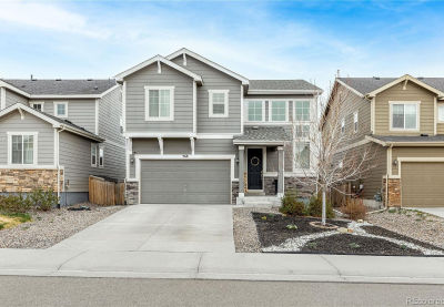 968 White Leaf Cir Castle Rock, CO 80108