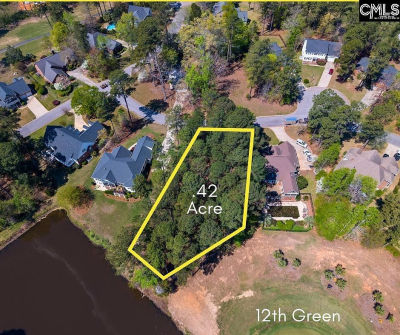 108 Oak Trace Ct Chapin, SC 29036