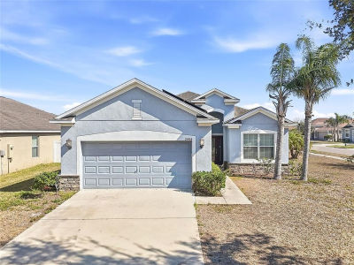 2444 Dakota Rock Dr Ruskin, FL 33570