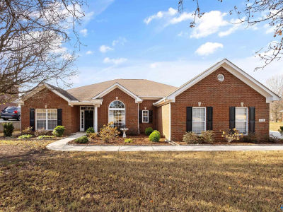 133 Tellico Ridge Rd New Market, AL 35761