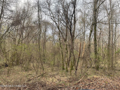 Bend Rd Coldwater, MS 38618