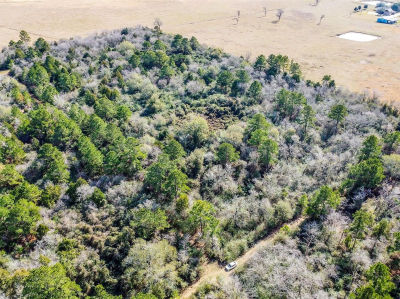 17625 Falcon Ln Hempstead, TX 77445