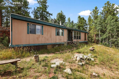 410 Rangeview Rd Divide, CO 80814
