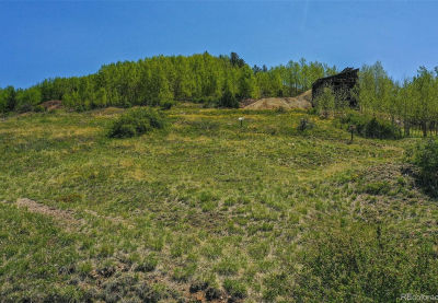 Unknown Cripple Creek, CO 80813