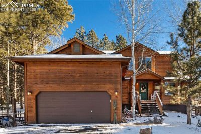 747 Pinon Ridge Dr Woodland Park, CO 80863
