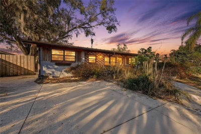 3809 Needles Dr Orlando, FL 32810