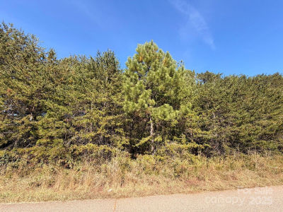 1953 Milton St #36 Newton, NC 28658