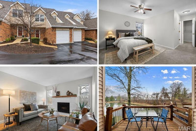 1323 Tahoe Valley Ct Ballwin, MO 63021