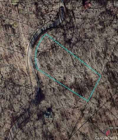 0 Skyview Dr Ellijay, GA 30536