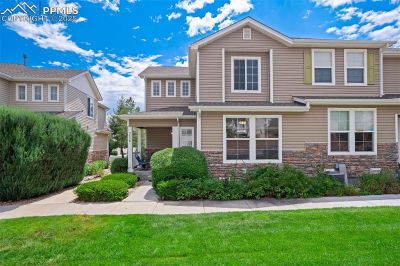 7536 Sandy Springs Point Fountain, CO 80817