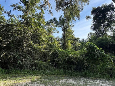 Barth Rd LOT 59 Dade City, FL 33523