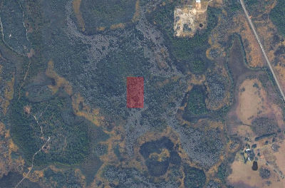 None Polk City, FL 33868