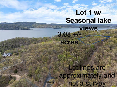 1 Cobblestone Ln #1 Eureka Springs, AR 72631