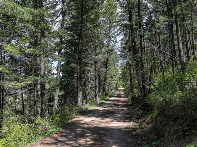 13275 Balsamroot Rd Lolo, MT 59847