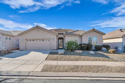 1663 W Morane Manor Dr Saint George, UT 84790