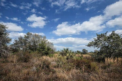 15997 NW 270th St Okeechobee, FL 34972