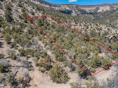 45A Banco Bonito Rd Jemez Springs, NM 87025