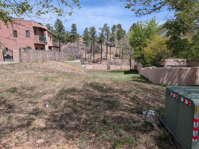 4090 Alabama Ave Los Alamos, NM 87544