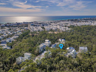 42 Treetop Rosemary Beach, FL 32461