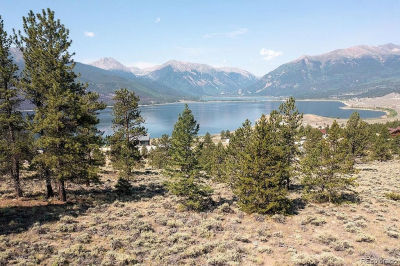 360 Reva Ridge Rd Twin Lakes, CO 81251