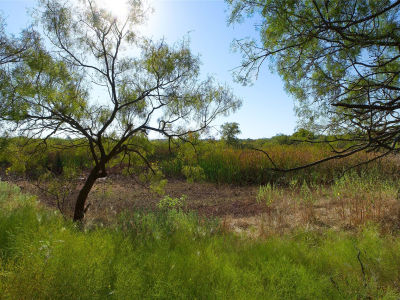 N Highway 81 Ringgold, TX 76261