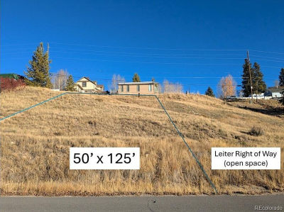400 W 6th St Leadville, CO 80461