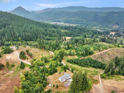 28024 NE 433rd St Amboy, WA 98601