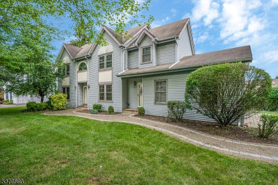 1 Woodland Ter Bloomsbury, NJ 08804